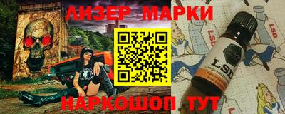 альфа пвп Новодвинск