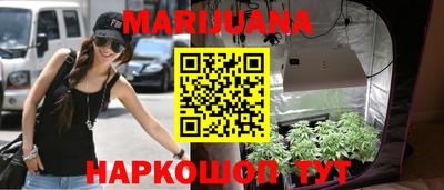 альфа пвп Новодвинск