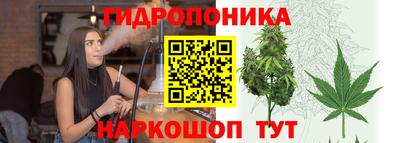 альфа пвп Новодвинск