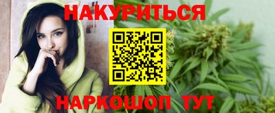 альфа пвп Новодвинск