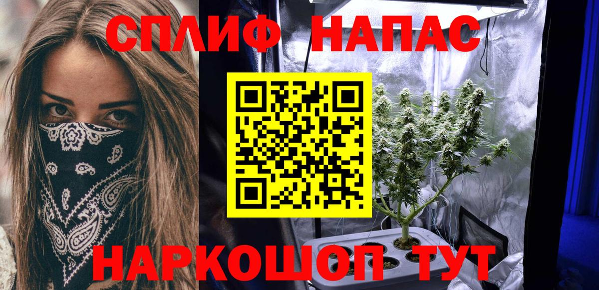 Бошки марихуана THC 21%  Каннабис план  Марихуана Ganja  Черногорск  Вход с VPN  Конопля гибрид 